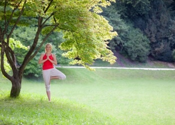 Baum Yoga Frühling
